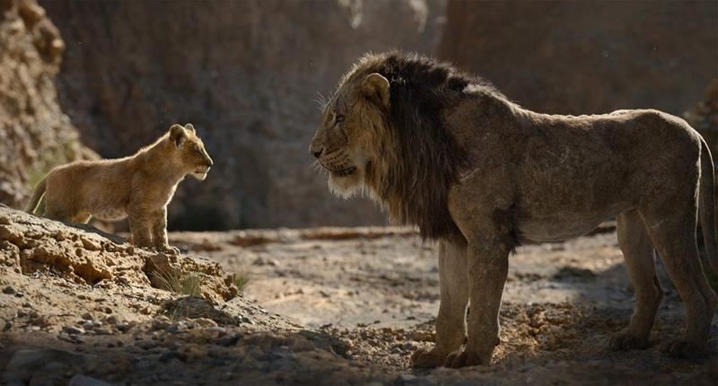 Il Re Leone, nuovo film, sequel, uscita