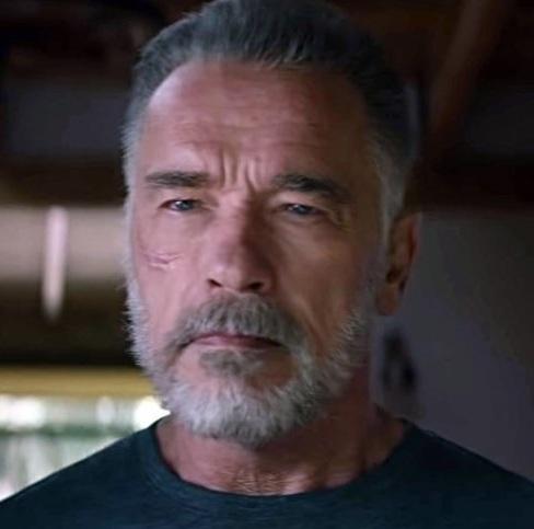 Terminator Destino Oscuro, nuovo terminator, Schwarzenegger