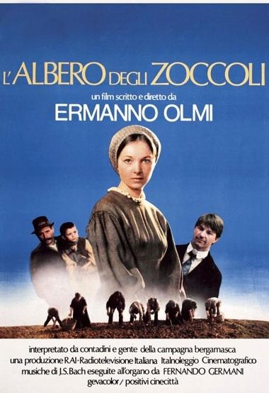 Olmi L'albero degli zoccoli