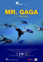 Mr. Gaga