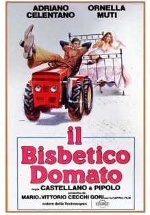 Il bisbetico domato (film 1980)
