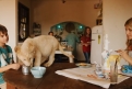 Immagine 17 - Mia e il Leone bianco, foto del film