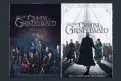 Immagine 10 - Animali Fantastici 2: I Crimini di Grindelwald, poster e locandine del film con Eddie Redmayne nei panni di Newt Scamander