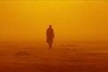 Immagine 11 - Blade Runner 2049, foto e immagini del film