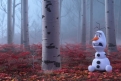 Immagine 4 - Frozen 2 - Il segreto di Arendelle, immagini e disegni del film d’animazione Walt Disney