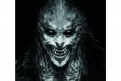 Immagine 3 - Harry Potter, in un libro i disegni originali