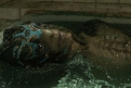 Immagine 21 - La Forma dell'Acqua - The Shape of Water, foto ed immagini del film di Guillermo del Toro