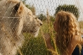Immagine 18 - Mia e il Leone bianco, foto del film