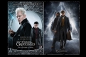 Immagine 3 - Animali Fantastici 2: I Crimini di Grindelwald, poster e locandine del film con Eddie Redmayne nei panni di Newt Scamander