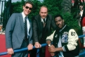 Immagine 3 - Beverly Hills Cop, foto