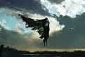 Immagine 7 - Harry Potter, in un libro i disegni originali