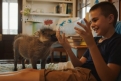 Immagine 24 - Mia e il Leone bianco, foto del film