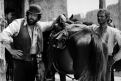 Immagine 27 - Bud Spencer, foto dal ... west