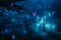 Immagine 4 - Maleficient