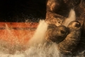 Immagine 3 - Godzilla vs. Kong, foto e immagini del film di Adam Wingard con Millie Bobby Brown, Rebecca Hall, Alexander Skarsgård, Kyle Chan
