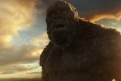 Immagine 9 - Godzilla vs. Kong, foto e immagini del film di Adam Wingard con Millie Bobby Brown, Rebecca Hall, Alexander Skarsgård, Kyle Chan