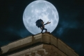 Immagine 11 - Sonic 2, immagini e disegni del film basato sul videogame Sonic the Hedgehog