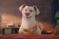 Immagine 1 - DC League of Super-Pets, immagini e disegni del film animazione DC Entertainment doppiato da Keanu Reeves