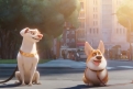 Immagine 6 - DC League of Super-Pets, immagini e disegni del film animazione DC Entertainment doppiato da Keanu Reeves