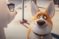 Immagine 8 - DC League of Super-Pets, immagini e disegni del film animazione DC Entertainment doppiato da Keanu Reeves