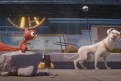 Immagine 18 - DC League of Super-Pets, immagini e disegni del film animazione DC Entertainment doppiato da Keanu Reeves