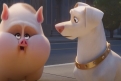 Immagine 20 - DC League of Super-Pets, immagini e disegni del film animazione DC Entertainment doppiato da Keanu Reeves