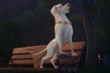 Immagine 27 - DC League of Super-Pets, immagini e disegni del film animazione DC Entertainment doppiato da Keanu Reeves