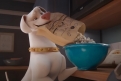 Immagine 29 - DC League of Super-Pets, immagini e disegni del film animazione DC Entertainment doppiato da Keanu Reeves