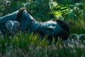 Immagine 10 - Avatar: La Via dell'Acqua, foto e immagini del film di James Cameron con Sam Worthington, Zoe Saldana, Kate Winslet, Sigourney