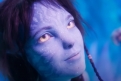 Immagine 13 - Avatar: La Via dell'Acqua, foto e immagini del film di James Cameron con Sam Worthington, Zoe Saldana, Kate Winslet, Sigourney