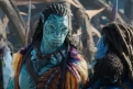 Immagine 19 - Avatar: La Via dell'Acqua, foto e immagini del film di James Cameron con Sam Worthington, Zoe Saldana, Kate Winslet, Sigourney