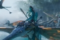 Immagine 23 - Avatar: La Via dell'Acqua, foto e immagini del film di James Cameron con Sam Worthington, Zoe Saldana, Kate Winslet, Sigourney