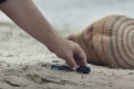 Immagine 24 - In Viaggio verso un Sogno, immagini del film di T. Nilson e M. Schwartz con Shia LaBeouf, Dakota Johnson