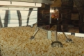 Immagine 11 - Empire of Light, immagini del film di Sam Mendes con Olivia Colman, Michael Ward