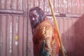 Immagine 2 - Aquaman e il Regno Perduto, foto e immagini del film di James Wan con Jason Momoa, Patrick Wilson, Amber Heard