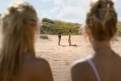 Immagine 6 - Tutti tranne te, immagini del film di Will Gluck con Sydney Sweeney e Glen Powell
