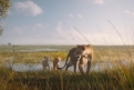 Immagine 11 - Mufasa: Il Re Leone, immagini del film Walt Disney di Barry Jenkins con le voci di Aaron Pierre, Kelvin Harrison Jr.