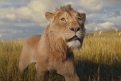 Immagine 17 - Mufasa: Il Re Leone, immagini del film Walt Disney di Barry Jenkins con le voci di Aaron Pierre, Kelvin Harrison Jr.