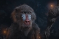 Immagine 21 - Mufasa: Il Re Leone, immagini del film Walt Disney di Barry Jenkins con le voci di Aaron Pierre, Kelvin Harrison Jr.
