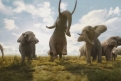 Immagine 26 - Mufasa: Il Re Leone, immagini del film Walt Disney di Barry Jenkins con le voci di Aaron Pierre, Kelvin Harrison Jr.