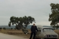 Immagine 14 - L'ultima settimana di settembre, immagini del film di Gianni De Blasi con Diego Abatantuono, Biagio Venditti, Roberta Mattei, M
