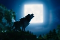 Immagine 14 - Un Film Minecraft, immagini del film con Jason Momoa e Jack Black incentrato sul celebre videogame