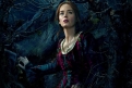Immagine 6 - Into the Woods