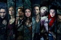 Immagine 7 - Into the Woods