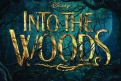 Immagine 8 - Into the Woods