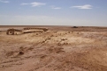 Immagine 16 - Star wars tatooine set del film