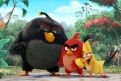 Immagine 27 - Angry Birds-Il film, foto e immagini