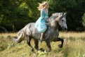 Immagine 42 - Cenerentola