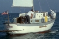 Immagine 17 - Chi trova un amico trova un tesoro, Charlie e Alan partono sfidando l’oceano con un carico di Puffin … foto del film con Bud Spe