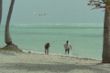 Immagine 24 - Chi trova un amico trova un tesoro, Charlie e Alan partono sfidando l’oceano con un carico di Puffin … foto del film con Bud Spe